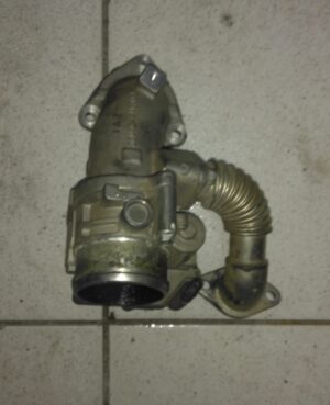Corpo Borboleta HR