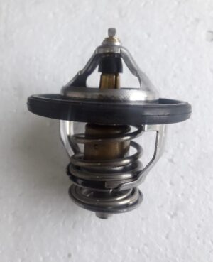 Valvula Termostatica Hyundai HR